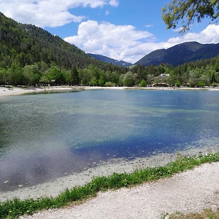 Les Chalet Kranjska Gora Duplex المظهر الخارجي الصورة